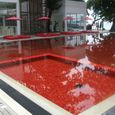 20080702singasamui2_488